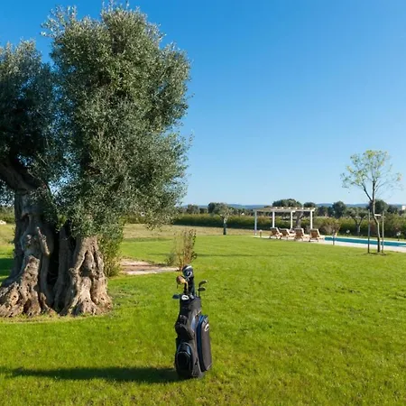 Vila Helloapulia Coccaro *